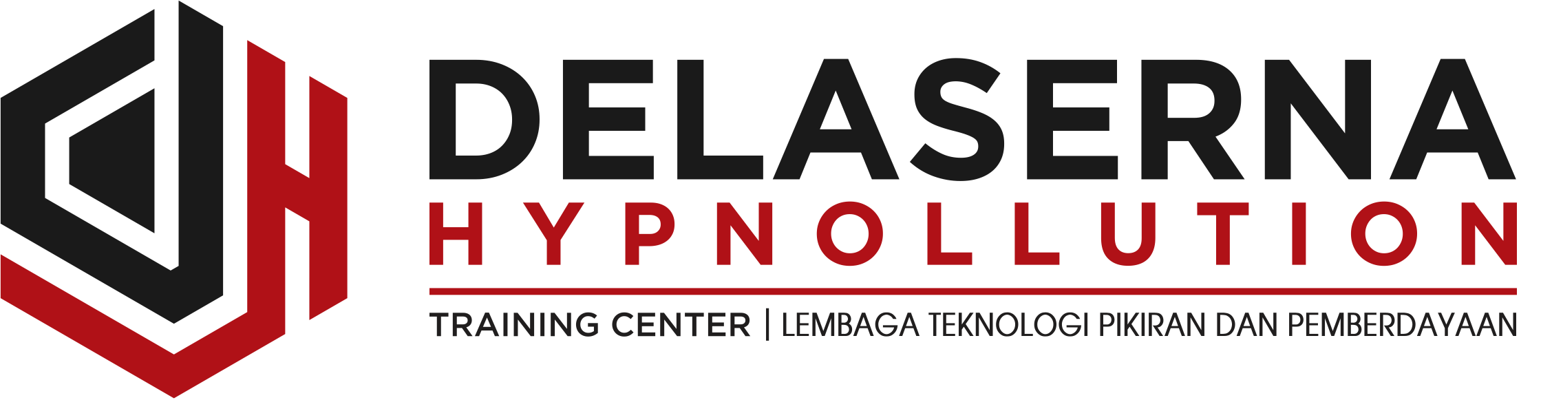 LOGO_DELASERNA